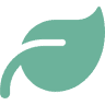Mint Dental