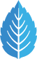 Mint Health Clinics