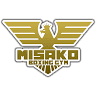 Misako Boxing Gym
