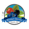 Missouri Berries
