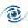 Mittleman Eye