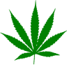 MK'S Cure It With Cannabis