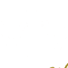 MM Cars Selection