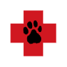 Mobile Laser Veterinary Services: Janine Sagris Dismukes, DVM