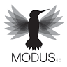 Modus45 Barre Fitness
