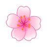 Flowers By Molly Jayne