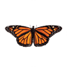 Monarch