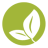 Money Tree Billing