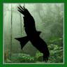 Monteverde Travel