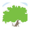 Montrose Animal Hospital: Webster Kerry A DVM