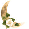 Moon Medicine Therapeutics