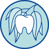 Mooroolbark Family Dental