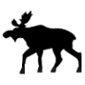 Moose Creek Sports