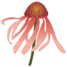 Stark Family Prairie