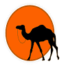 Morocco Camel Tours