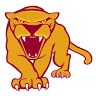 Big Cat Stadium