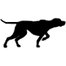 Mosby & Finch LLC - By Appointment Only