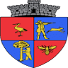 Poliția Moșnița Nouă