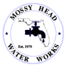 Mossy Head Water Works