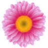 Mountain View Farm - Tilba Accommodation, Retreats, Weddings & Events