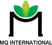 MQ INTERNATIONAL CO., LTD - REPRESENTATIVE OFFICE IN BINH DUONG