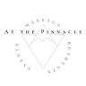 At The Pinnacle