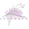 Mt Baimbridge Lavender