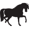Mountain Creek Riding Stable