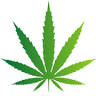Mueller Farms CBD