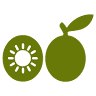 Murcia Foods