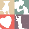 Murrysville Veterinary Associates