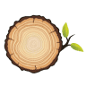 M & W Lumber