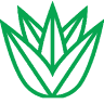 Aloe Vera Malaga