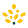 Morrisons Daily