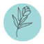 Flowers Forever - Floral Preservation