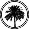 Palmetto Insurance & Financial Service, LLC