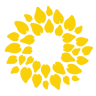 Momentum Collective - The Connections Centre