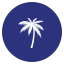 Oasis Dental