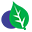 Saarvasri Herbs