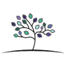 Spring Family Dental - New Albany