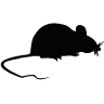 Myszomarket