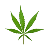 My Tuscan Weed