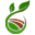 Nainileaf – Succulents, Cactus, Plants Nursery