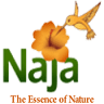 Naja Fragrances