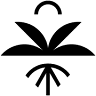 Nan Tal