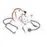 Napa Valley Veterinary Hospital