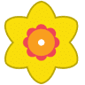 Narcis B S.r.o.