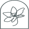 Narciso Home