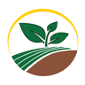 Native Greens LLC
