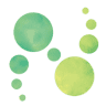 ナッシェル